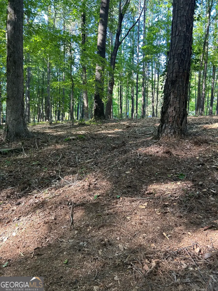 46 Davis Road, Hiram, GA 30141 - #2
