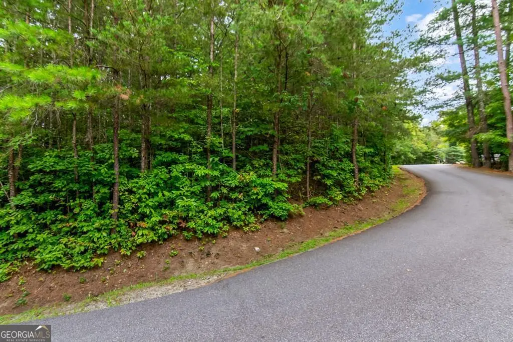 LOT 9 Laurel Creek Trail, Blue Ridge, GA 30513 - #1