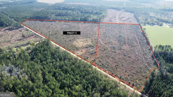 0 Graham Knight Road (tract 3), Glennville, GA 30427
