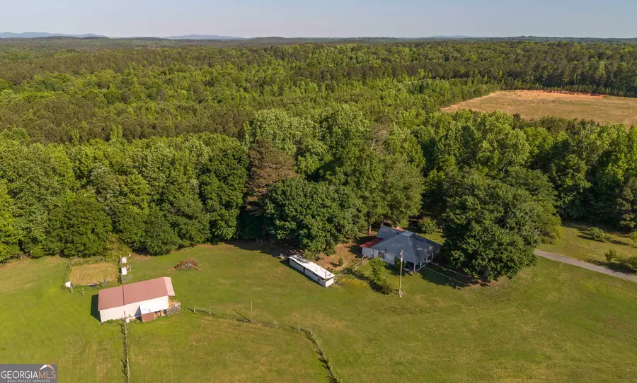 2774 Steadman Road, Tallapoosa, GA 30176 - #3