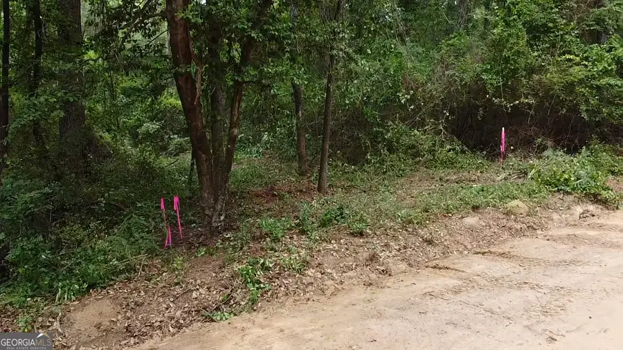 0 Julian Simpson Road, Cochran, GA 31014 - #2