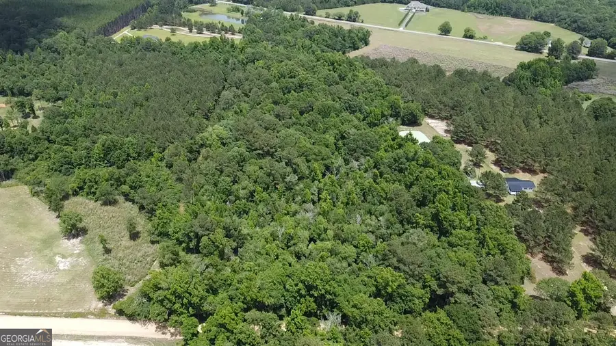 0 Julian Simpson Road, Cochran, GA 31014 - #3