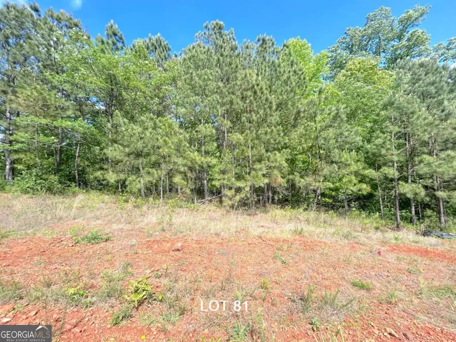 208 Oakdale Way, Temple, GA 30179 - #2
