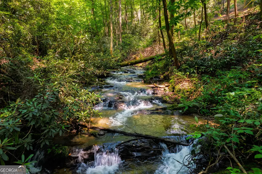 122 Laurel Creek Trail, Blue Ridge, GA 30513 - #2