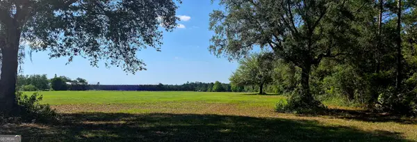 469 Barber Branch, St. George, GA 31562