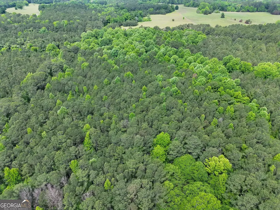 14+ ACRES Highway 85, Gay, GA 30218 - #3
