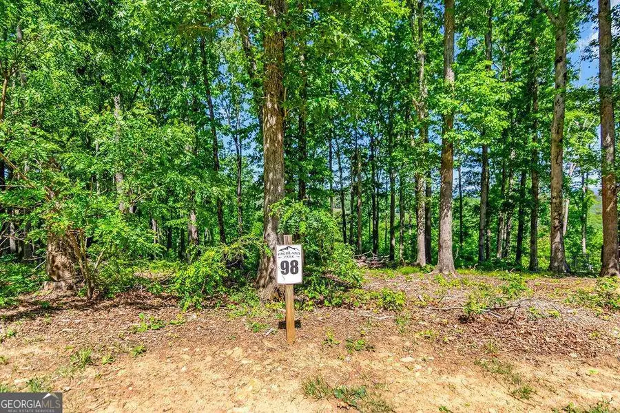 LOT 98 Winding Ridge, Blairsville, GA 30512 - #2