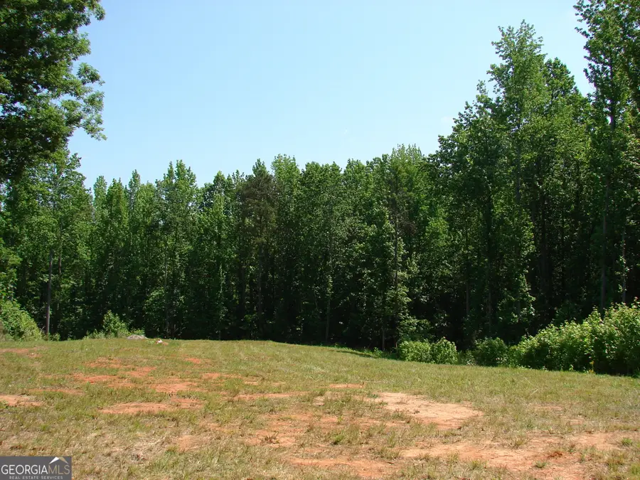 5776 Conner Road, Flowery Branch, GA 30542 - #3