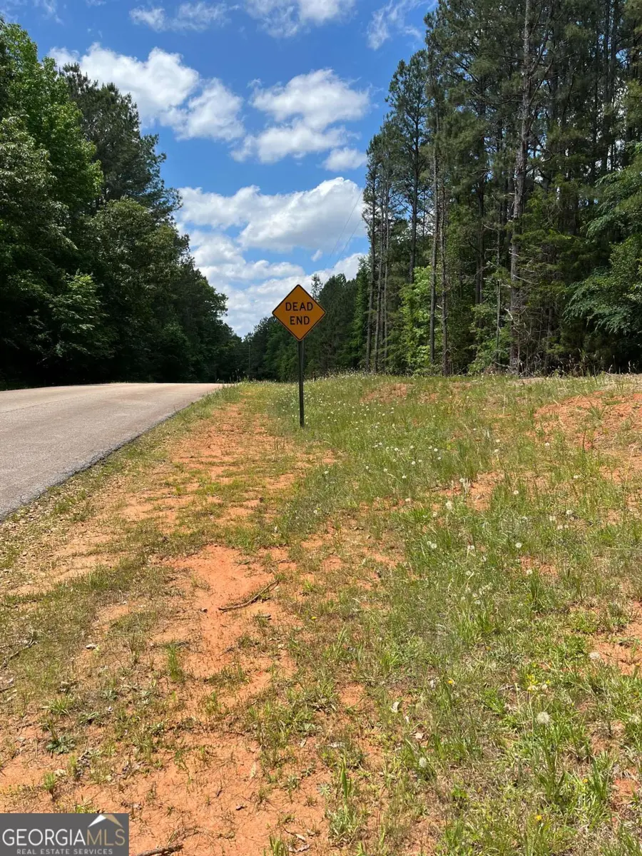 0 Stinchcomb Road, Elberton, GA 30635 - #3