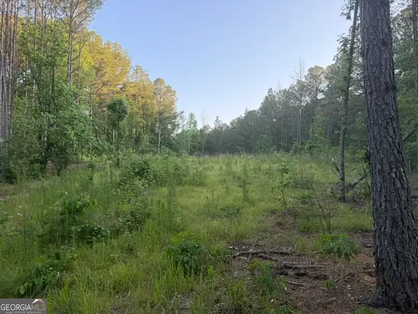 0 Old Rico Rd, Chattahoochee Hills, GA 30268