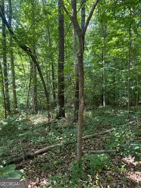 LOT 144 Lewis Drive, Lavonia, GA 30553 - #2