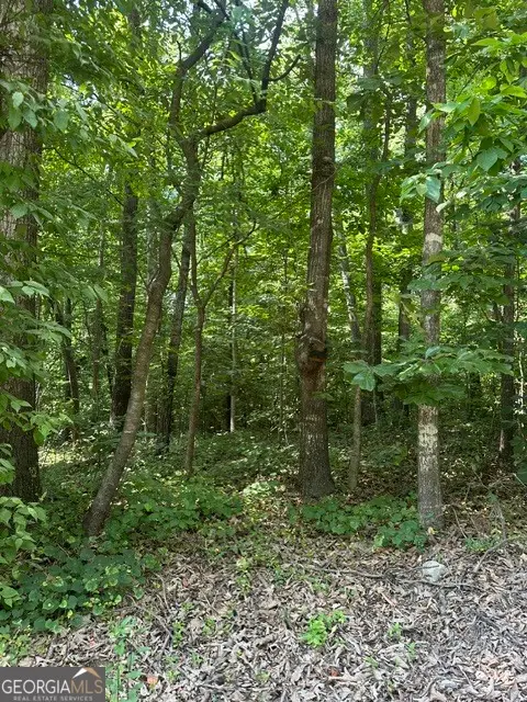 LOT 144 Lewis Drive, Lavonia, GA 30553 - #3