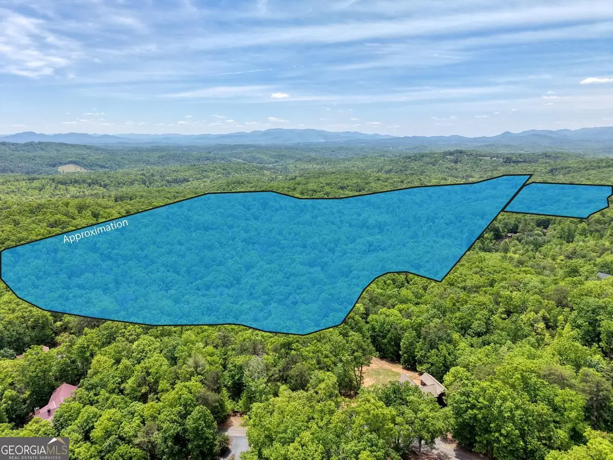 57.30 AC Stuart View, Mineral Bluff, GA 30559 - #1