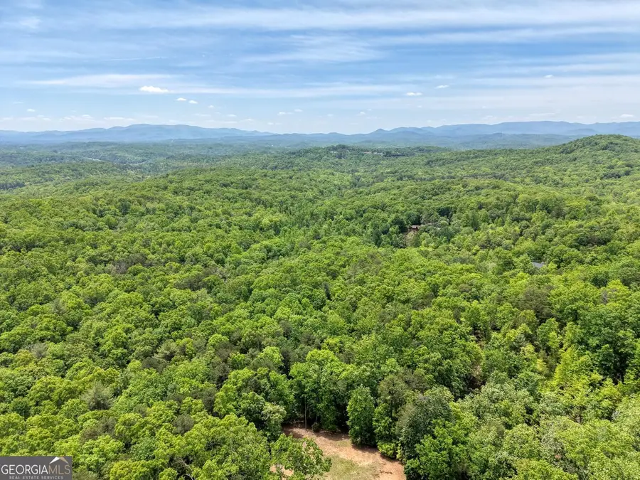 57.30 AC Stuart View, Mineral Bluff, GA 30559 - #2