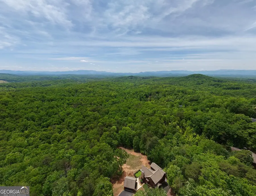 57.30 AC Stuart View, Mineral Bluff, GA 30559 - #3