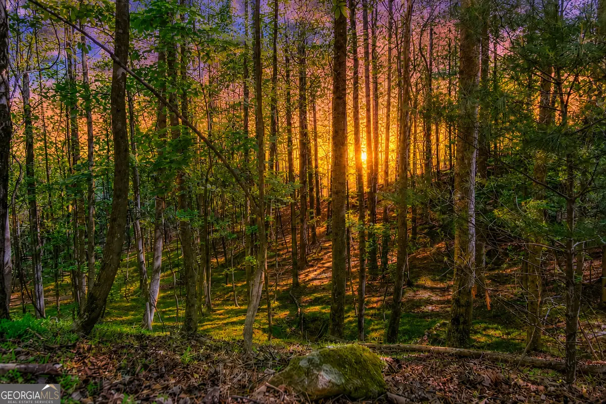 LOT 26 Estates Drive, Ellijay, GA 30540 - #1