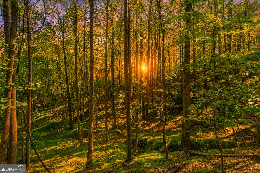 LOT 26 Estates Drive, Ellijay, GA 30540 - #2