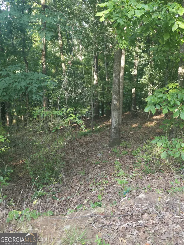 330 Caldwell Circle, Athens, GA 30606
