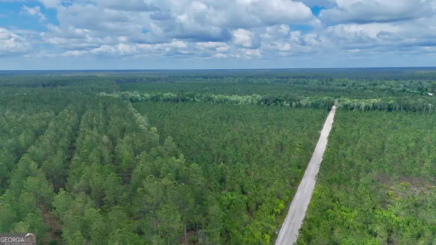 20 AC Owens Road, Odum, GA 31555 - #2