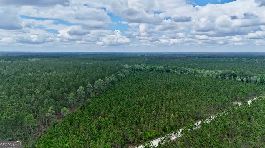 20 AC Owens Road, Odum, GA 31555 - #3