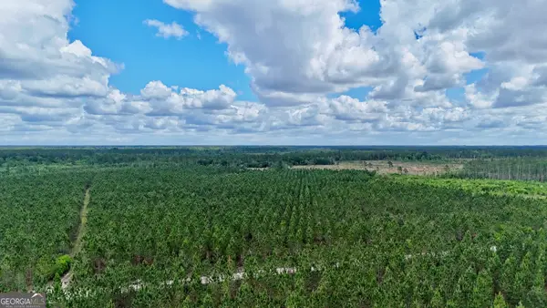 26 AC Owens Road, Odum, GA 31555