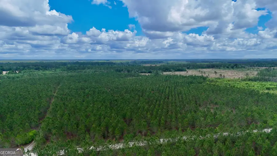 26 AC Owens Road, Odum, GA 31555 - #2