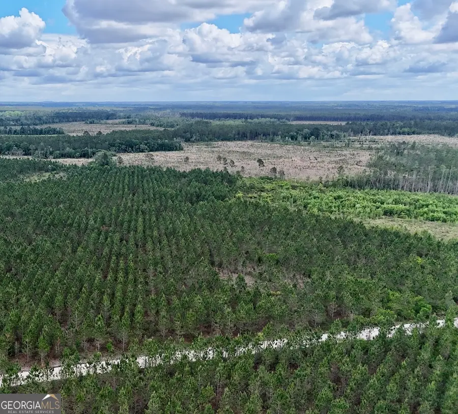 26 AC Owens Road, Odum, GA 31555 - #3