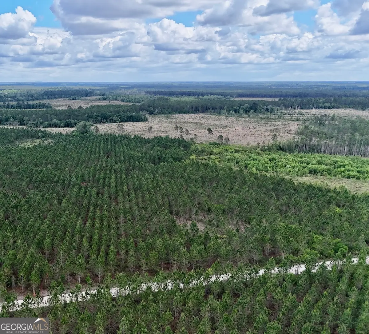 17 AC Owens Road, Odum, GA 31555 - #1