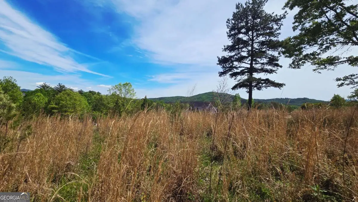 LOT 48 Water Oak Lane, Blairsville, GA 30512 - #1