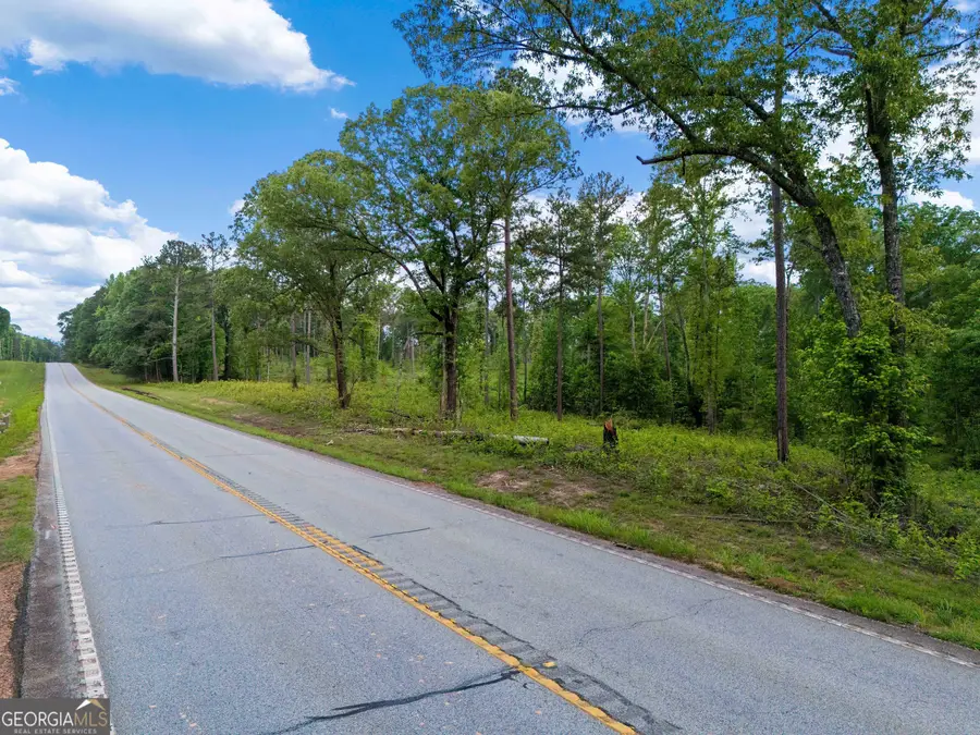 0 Hwy 100, Franklin, GA 30217 - #3