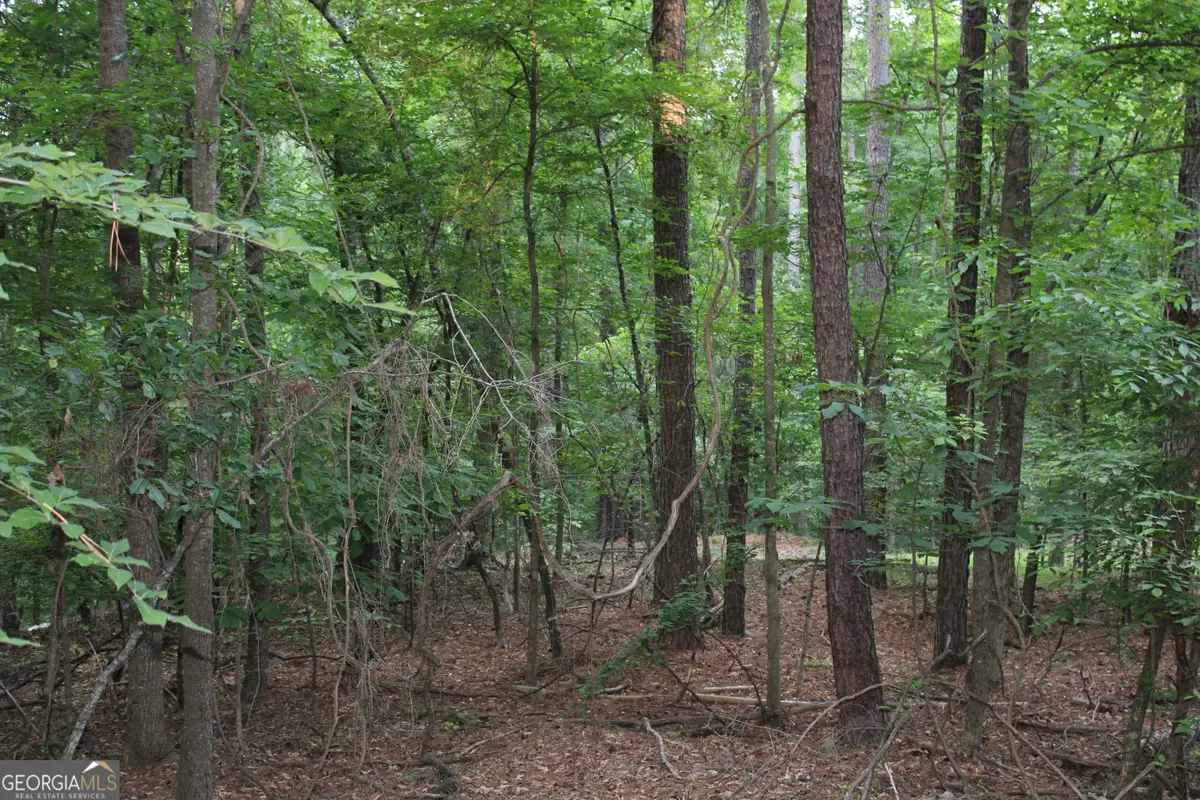 3 Mount Moriah Road, Auburn, GA 30011 - #1