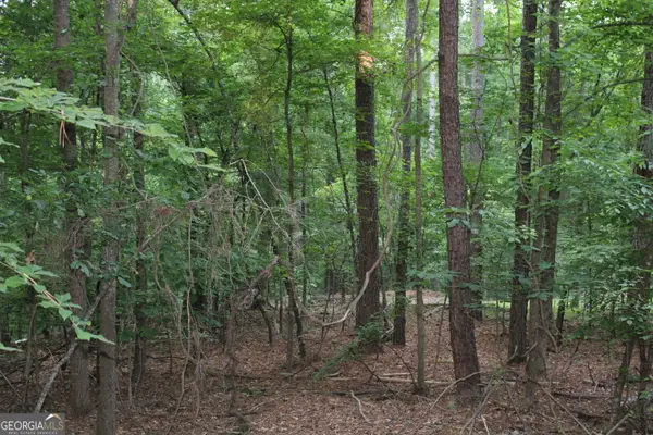 3 Mount Moriah Road, Auburn, GA 30011