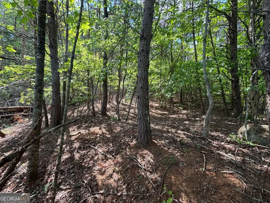 0 Cub Trail, Sautee Nacoochee, GA 30571 - #3