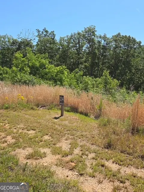 LOT 234 Highgrove Drive, Talking Rock, GA 30175 - #2