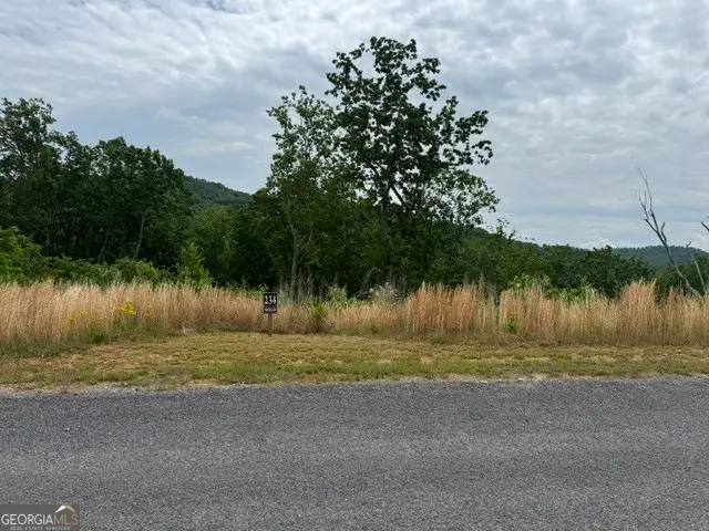 LOT 234 Highgrove Drive, Talking Rock, GA 30175 - #3