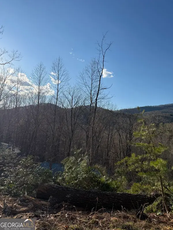 LOT 6D Meadow View Lane, Cleveland, GA 30528