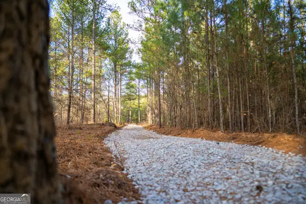 3 Smith Rocky Branch Road, Carlton, GA 30627
