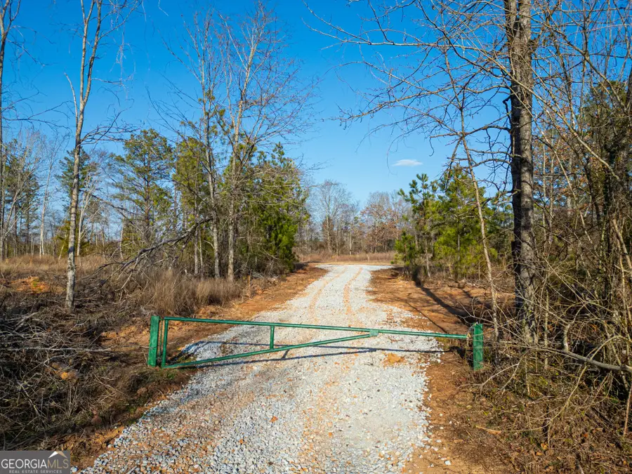 3 Smith Rocky Branch Road, Carlton, GA 30627 - #2