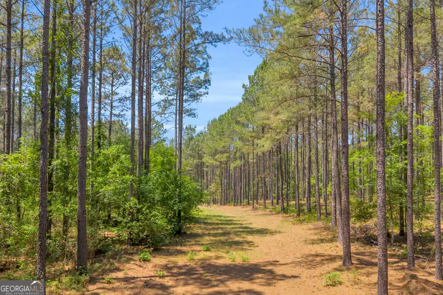 0 Hidden Harbor Road, Lincolnton, GA 30817 - #3
