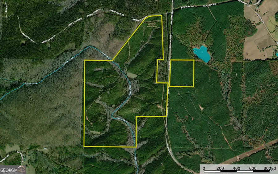 257 +/- Acres On Ridgeway Road, Franklin, GA 30217 - #2