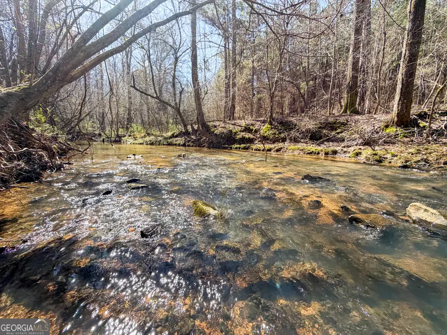 257 +/- Acres On Ridgeway Road, Franklin, GA 30217 - #3