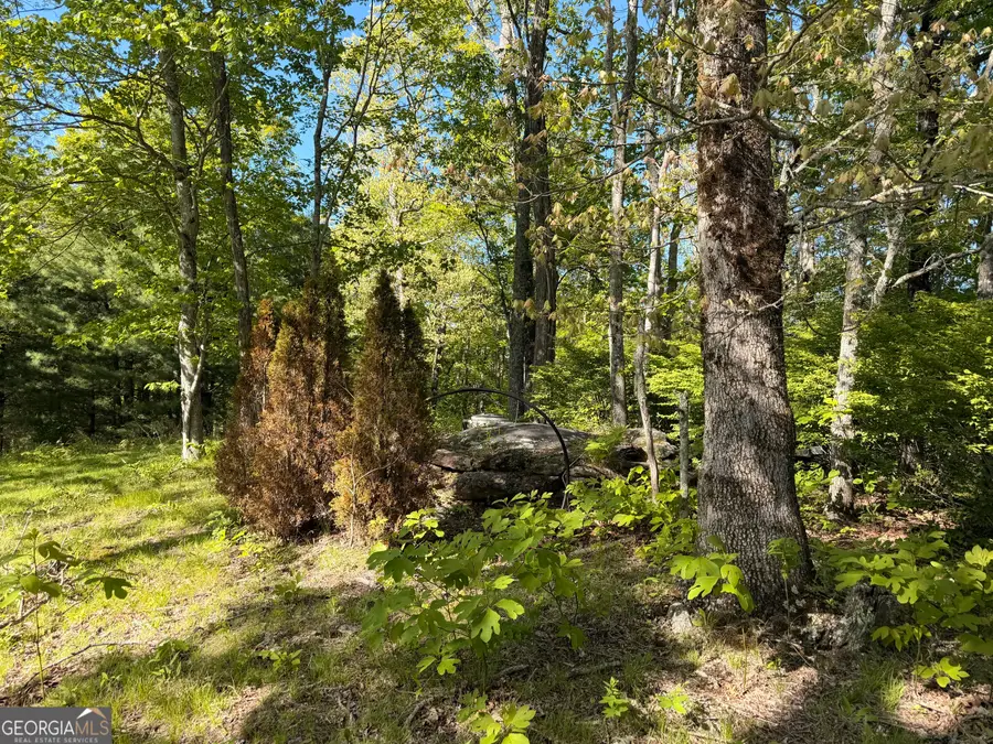 0 Rr 1622, Scaly Mountain, NC 28775 - #3