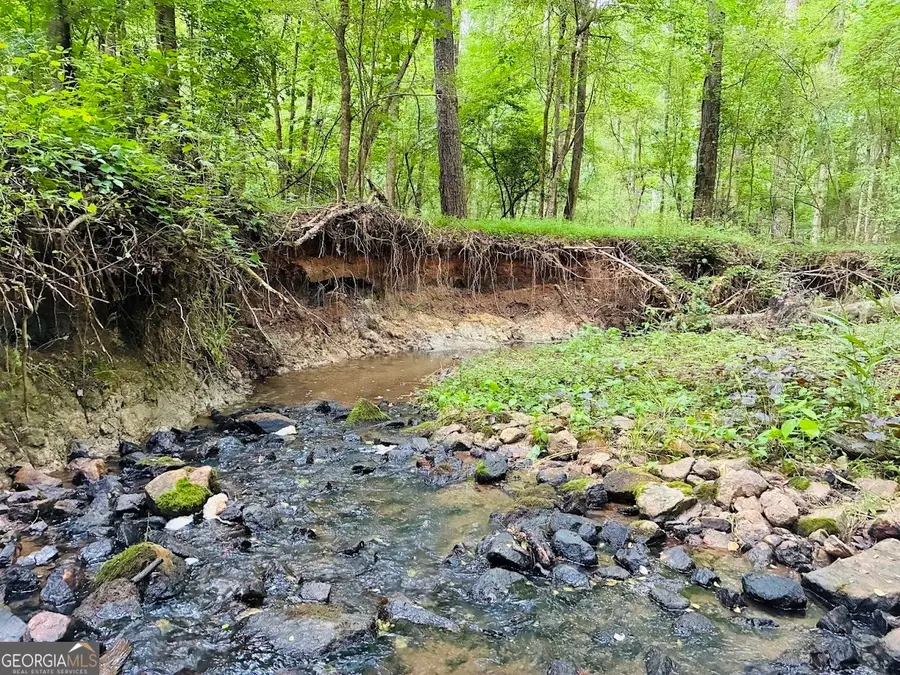 0 Caldwell Road #TRACT B1, Gay, GA 30218 - #3