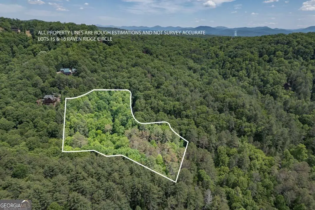 L 15&16 Raven Ridge Circle, Mineral Bluff, GA 30559 - #1