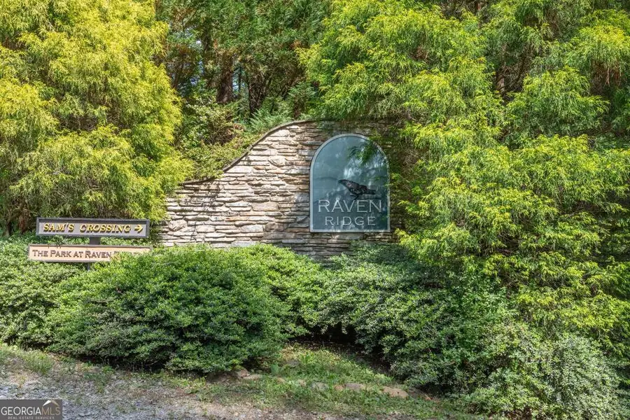 L 15&16 Raven Ridge Circle, Mineral Bluff, GA 30559 - #3