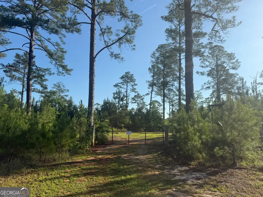 50 Harvest Road, Coleman, GA 39836 - #2