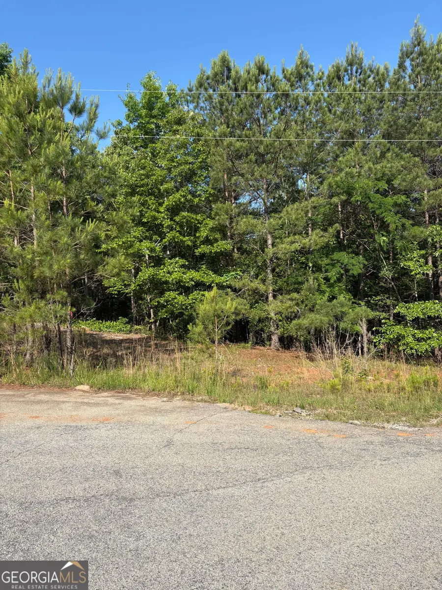 0 Anna Claire Court #LOT 11, Monticello, GA 31064 - #2