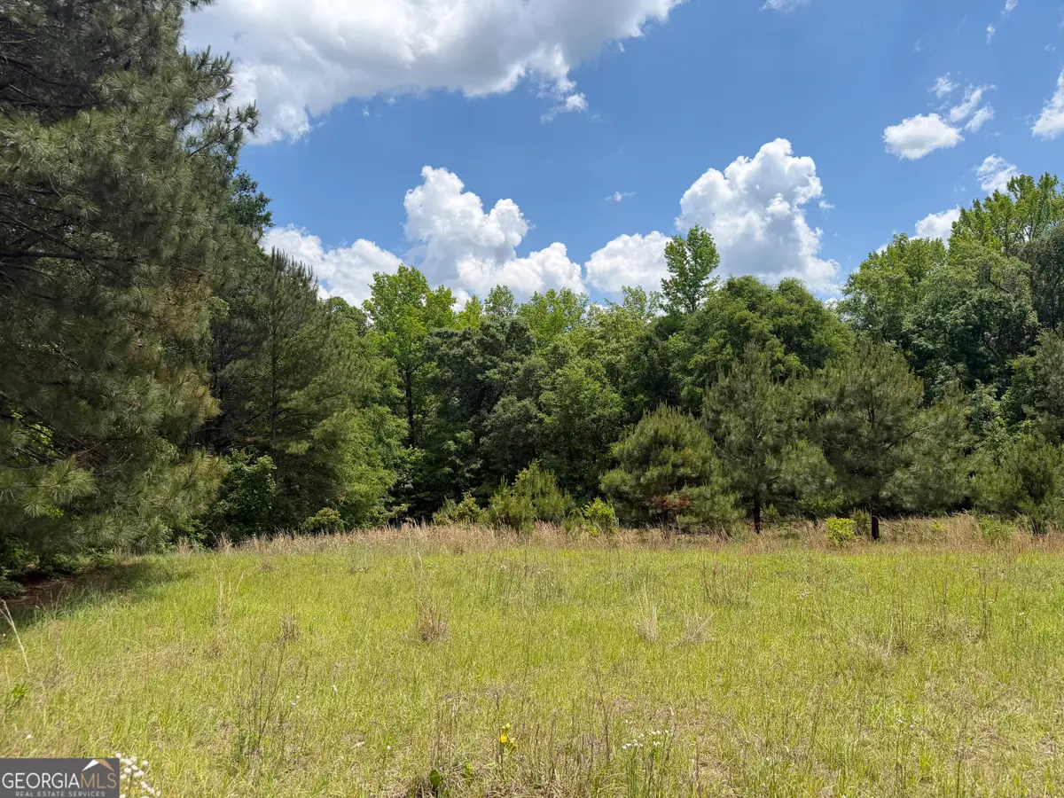 010 Long Branch Rd, Toomsboro, GA 31090 - #1