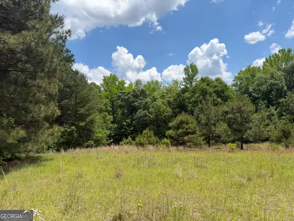 010 Long Branch Rd, Toomsboro, GA 31090