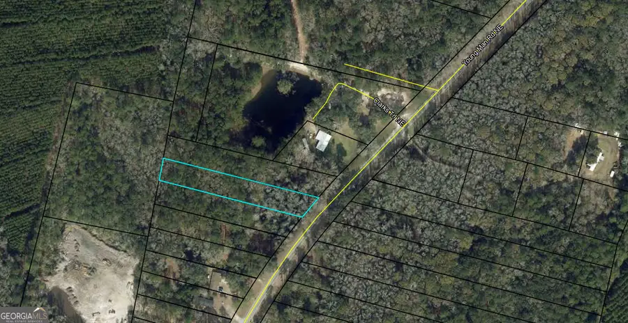 0 Youngman Road, Townsend, GA 31331 - #3